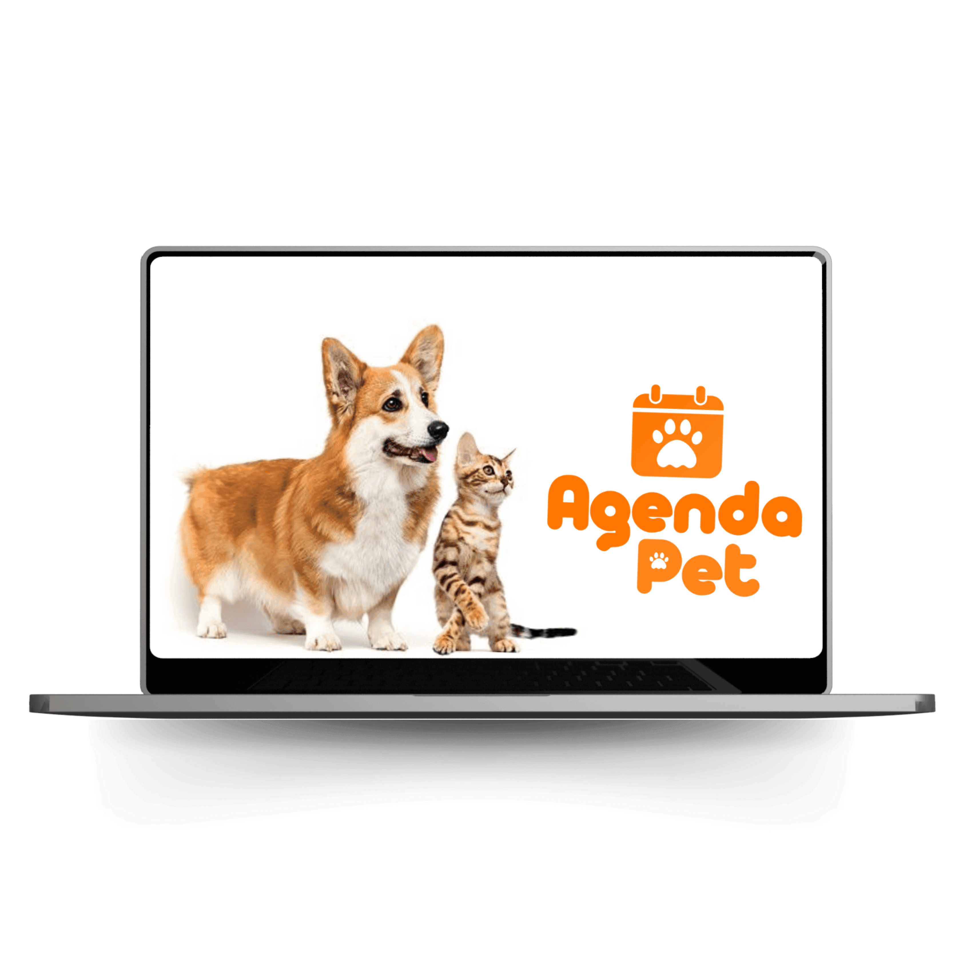Pet